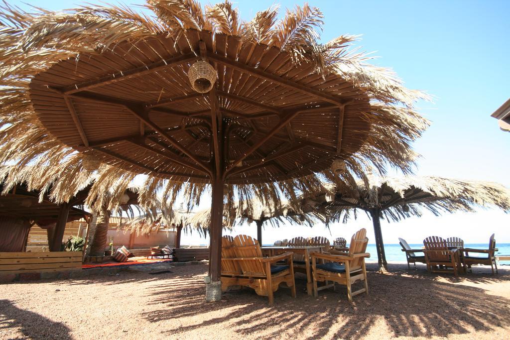 Hotel Dive Urge Dahab Zewnętrze zdjęcie