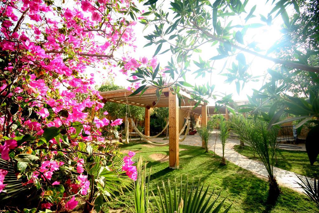 Hotel Dive Urge Dahab Zewnętrze zdjęcie