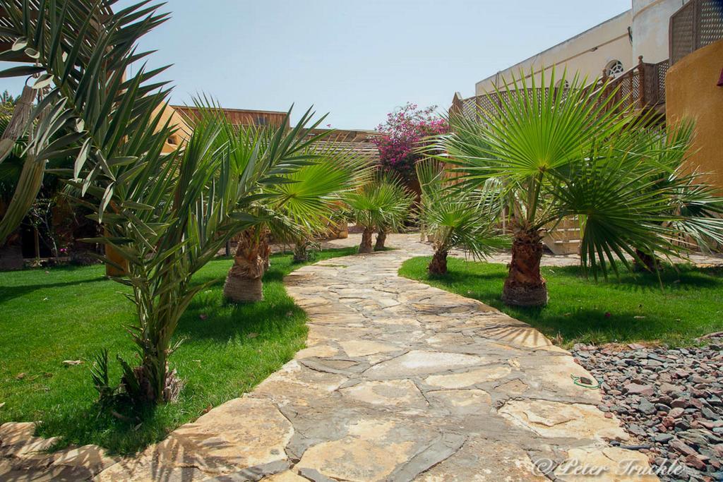 Hotel Dive Urge Dahab Zewnętrze zdjęcie